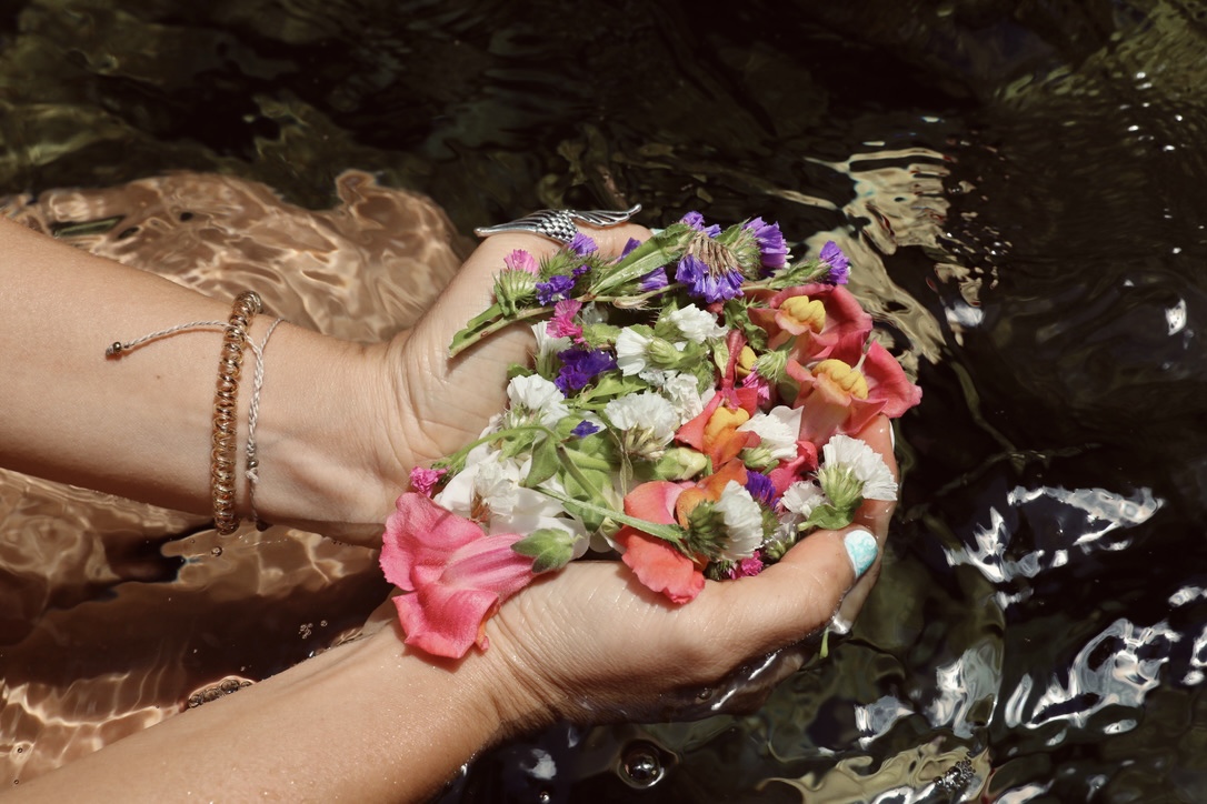 55863DB9 9656 4016 9880 60E01CC8D79F 1 105 c